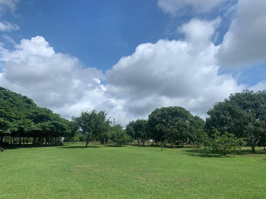 Disfruta Del Contacto Con La Naturaleza Apartment Puntarenas Bagian luar foto
