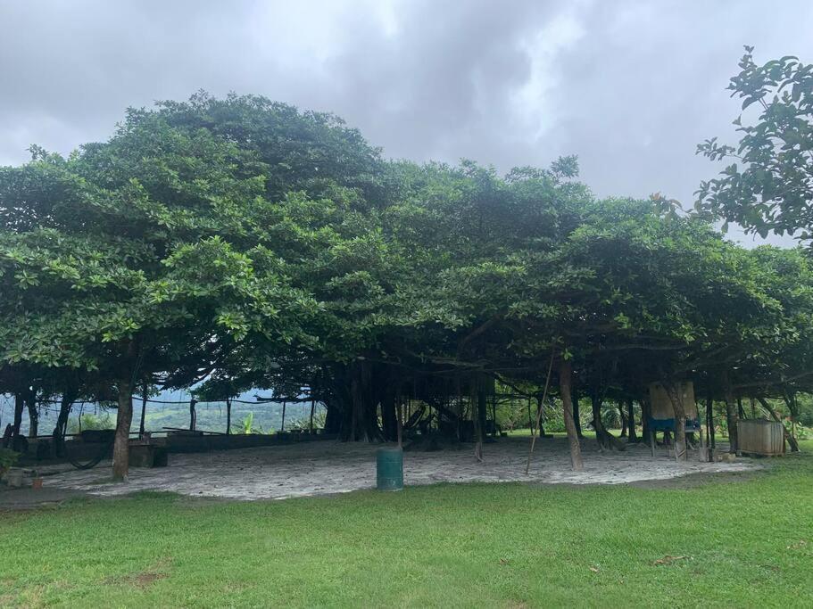 Disfruta Del Contacto Con La Naturaleza Apartment Puntarenas Bagian luar foto