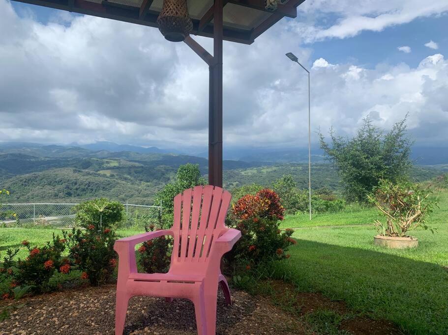 Disfruta Del Contacto Con La Naturaleza Apartment Puntarenas Bagian luar foto