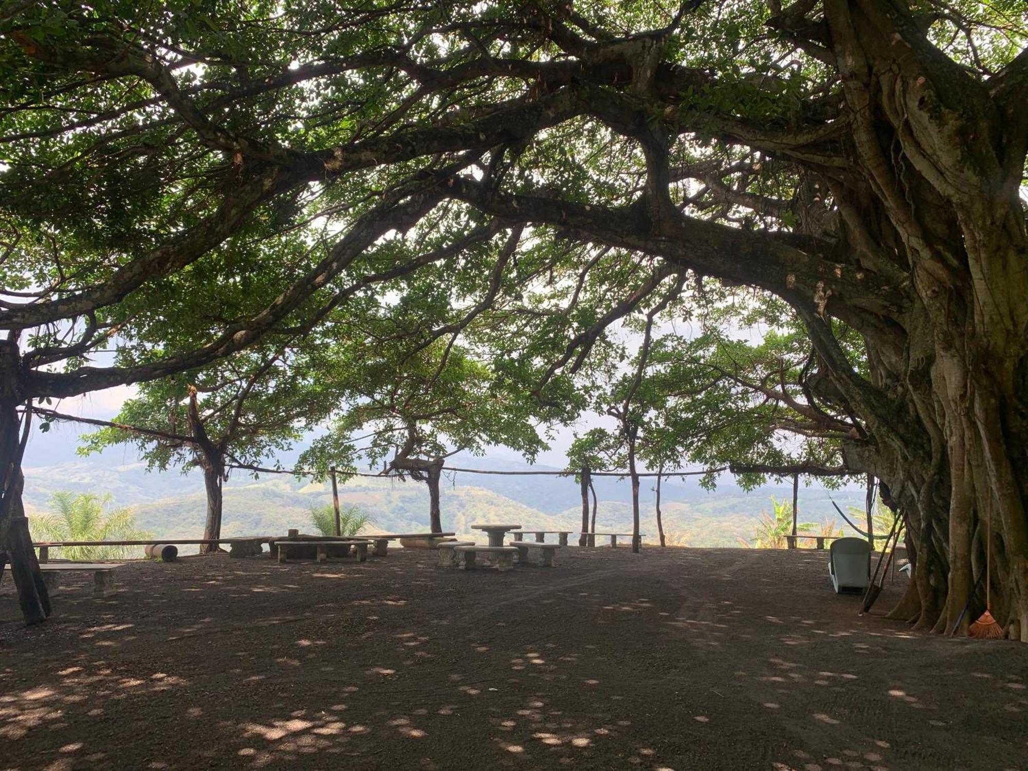 Disfruta Del Contacto Con La Naturaleza Apartment Puntarenas Bagian luar foto