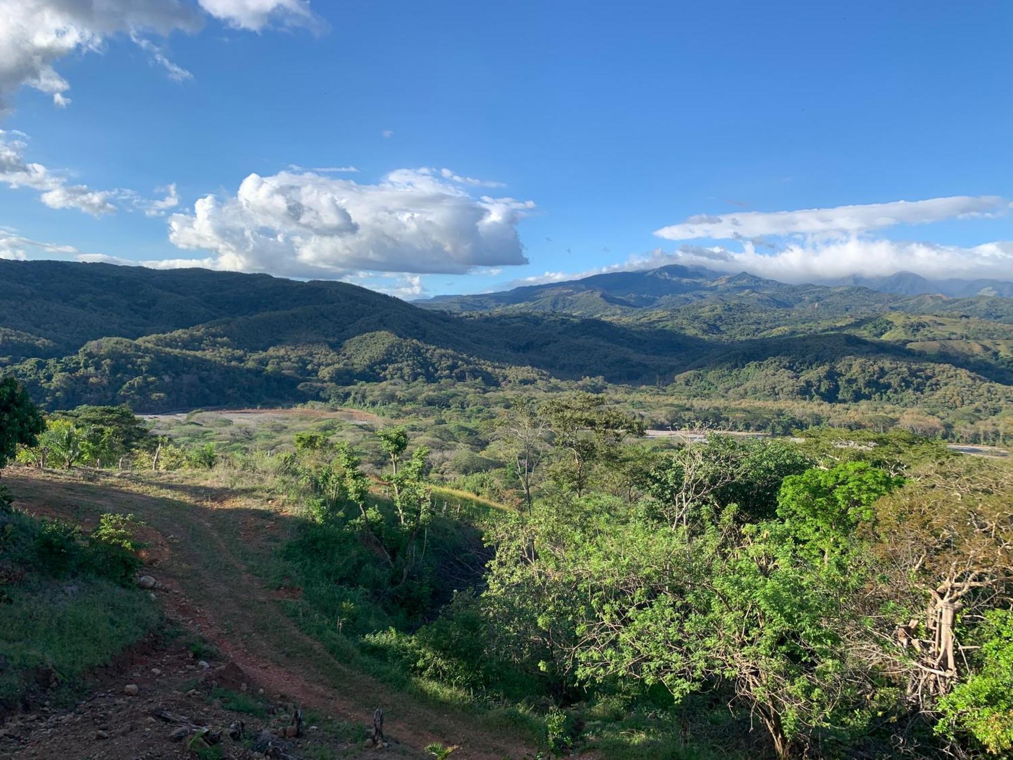Disfruta Del Contacto Con La Naturaleza Apartment Puntarenas Bagian luar foto