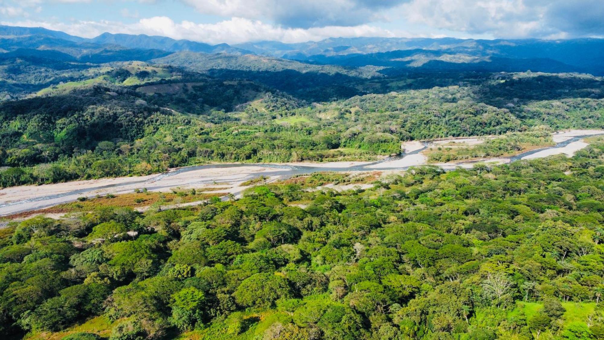 Disfruta Del Contacto Con La Naturaleza Apartment Puntarenas Bagian luar foto